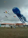 016 Porstmouth 2006