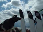 019 Porstmouth 2006