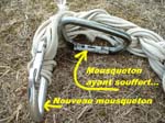 045  Mousquetons