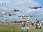 085 ciel de Portsmouth 016