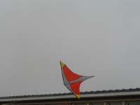 test de Manta 3