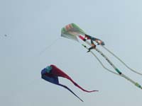 14 Ciel de Somain2007