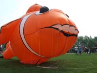 35 Gonflé le Nemo