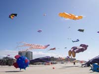1 Rencontres Internationales de Berck sur Mer Avril 2008 - 2576