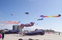 1 Rencontres Internationales de Berck sur Mer Avril 2008 - 2583