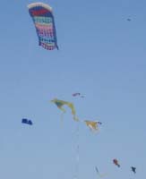1 Rencontres Internationales de Berck sur Mer Avril 2008 - 2591