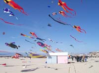 1 Rencontres Internationales de Berck sur Mer Avril 2008 - 2602