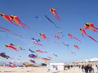 1 Rencontres Internationales de Berck sur Mer Avril 2008 - 2604