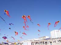 1 Rencontres Internationales de Berck sur Mer Avril 2008 - 2606