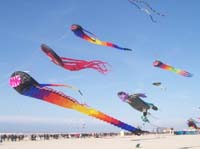 1 Rencontres Internationales de Berck sur Mer Avril 2008 - 2608