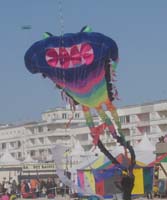 1 Rencontres Internationales de Berck sur Mer Avril 2008 - 2610