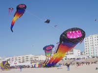 1 Rencontres Internationales de Berck sur Mer Avril 2008 - 2613