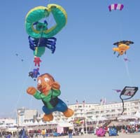 1 Rencontres Internationales de Berck sur Mer Avril 2008 - 2622