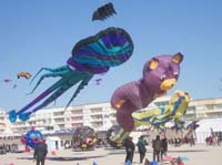 1 Rencontres Internationales de Berck sur Mer Avril 2008 - 2623