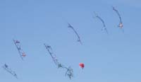 1 Rencontres Internationales de Berck sur Mer Avril 2008 - 2628