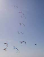 1 Rencontres Internationales de Berck sur Mer Avril 2008 - 2631