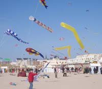 1 Rencontres Internationales de Berck sur Mer Avril 2008 - 2635
