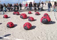 1 Rencontres Internationales de Berck sur Mer Avril 2008 - 2645