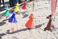 1 Rencontres Internationales de Berck sur Mer Avril 2008 - 2654