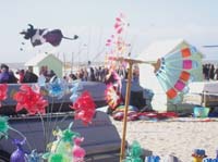 1 Rencontres Internationales de Berck sur Mer Avril 2008 - 2658