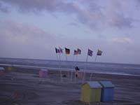 Rencontres Internationales de Berck sur Mer Avril 2008 - 0007
