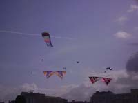 Rencontres Internationales de Berck sur Mer Avril 2008 - 0018