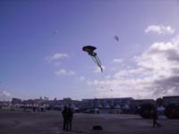 Rencontres Internationales de Berck sur Mer Avril 2008 - 0019