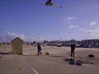 Rencontres Internationales de Berck sur Mer Avril 2008 - 0022