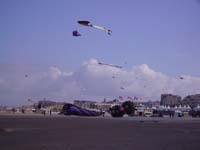 Rencontres Internationales de Berck sur Mer Avril 2008 - 0023