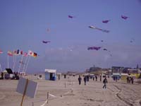 Rencontres Internationales de Berck sur Mer Avril 2008 - 0024