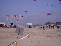 Rencontres Internationales de Berck sur Mer Avril 2008 - 0025