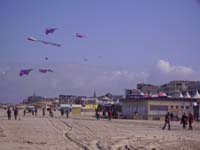 Rencontres Internationales de Berck sur Mer Avril 2008 - 0026