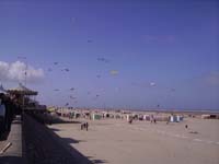 Rencontres Internationales de Berck sur Mer Avril 2008 - 0027
