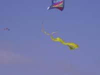 Rencontres Internationales de Berck sur Mer Avril 2008 - 0035