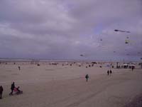 Rencontres Internationales de Berck sur Mer Avril 2008 - 0039