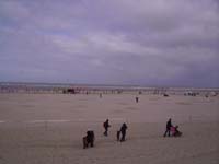 Rencontres Internationales de Berck sur Mer Avril 2008 - 0040