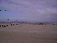 Rencontres Internationales de Berck sur Mer Avril 2008 - 0041