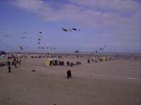 Rencontres Internationales de Berck sur Mer Avril 2008 - 0042