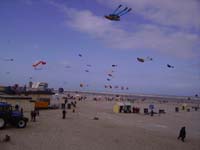 Rencontres Internationales de Berck sur Mer Avril 2008 - 0043