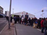 Rencontres Internationales de Berck sur Mer Avril 2008 - 0046