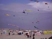 Rencontres Internationales de Berck sur Mer Avril 2008 - 0049