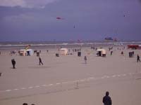 Rencontres Internationales de Berck sur Mer Avril 2008 - 0050