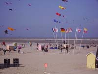 Rencontres Internationales de Berck sur Mer Avril 2008 - 0051