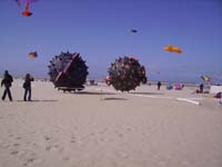 Rencontres Internationales de Berck sur Mer Avril 2008 - 0053