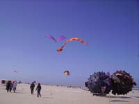 Rencontres Internationales de Berck sur Mer Avril 2008 - 0054
