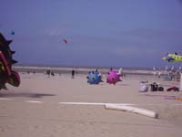 Rencontres Internationales de Berck sur Mer Avril 2008 - 0055