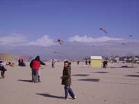 Rencontres Internationales de Berck sur Mer Avril 2008 - 0058