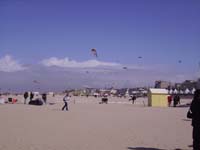 Rencontres Internationales de Berck sur Mer Avril 2008 - 0059