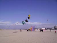 Rencontres Internationales de Berck sur Mer Avril 2008 - 0063