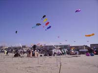 Rencontres Internationales de Berck sur Mer Avril 2008 - 0064